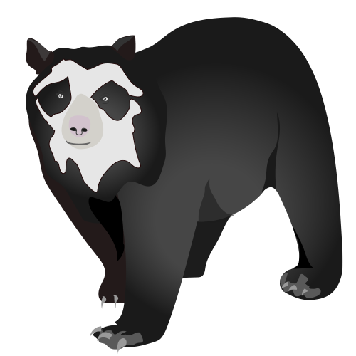 Oso
