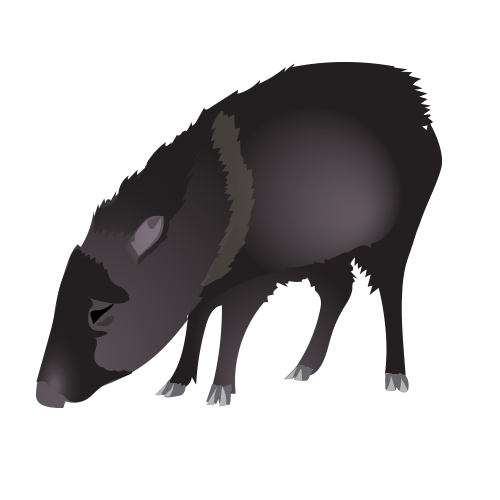 Sahinos